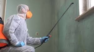 Best Black Mold Removal  in Cabot, AR