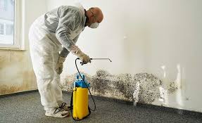 Best Water Damage & Mold Remediation  in Cabot, AR