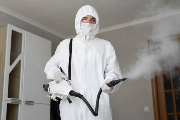  Cabot, AR Mold Removal & Remediation Pros